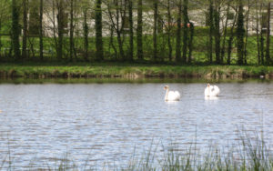 Calme et tranquillité Tréffléan