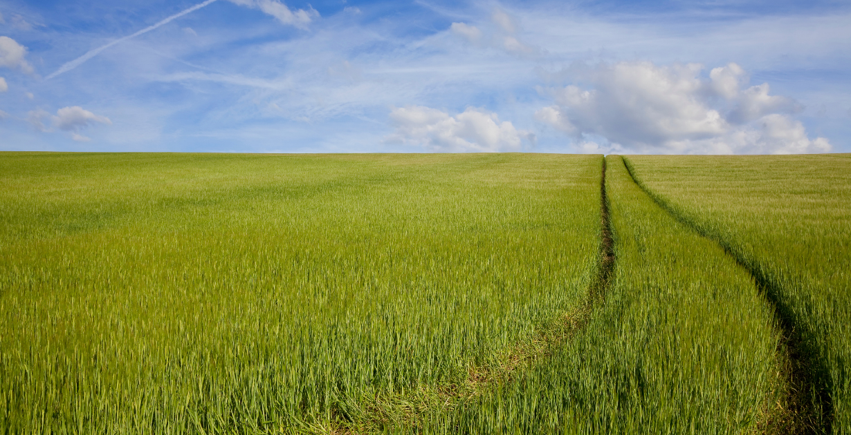 La division parcellaire : Vendre son terrain en plusieurs lots constructibles