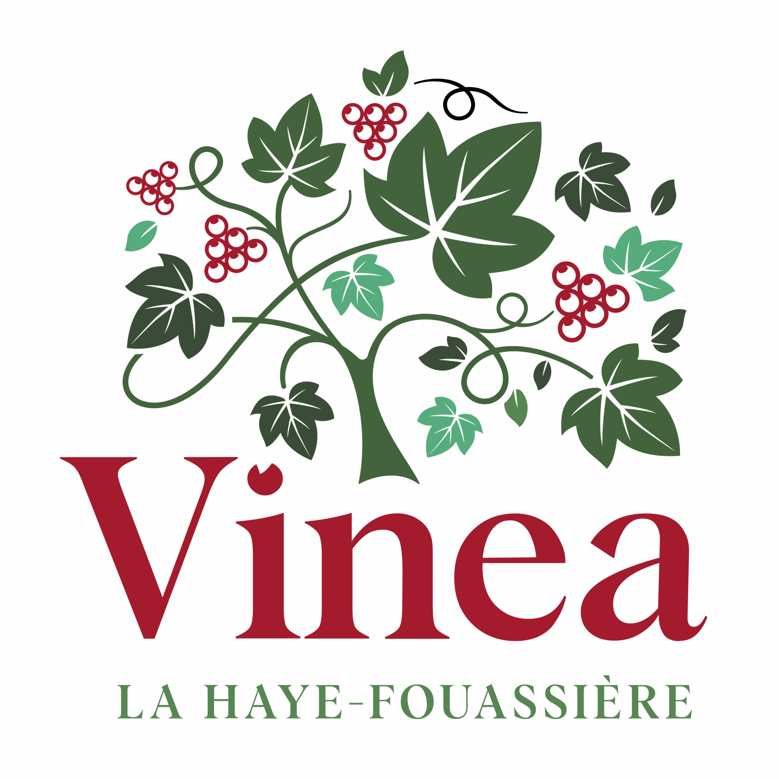 Vinea à La Haye-Fouassière